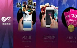 无插件直播为何成为球迷新宠？