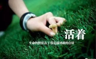 一部关于生命倒计时的温情寓言