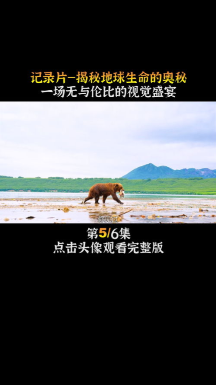 《人类：体内的世界》——一部震撼人心的生命