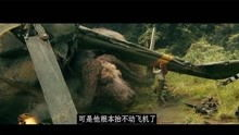 一部跨越种族的奇幻史诗