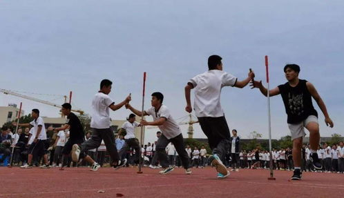 乘风破浪的青春故事