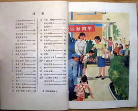 五月五之战：一场被遗忘的青春史诗还是时代伤