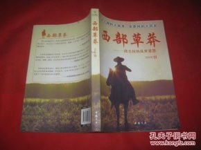 《亚利桑那1931》：一部被遗忘的西部片经典？