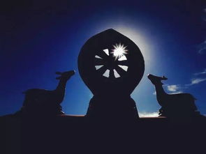 《人生补时》：当生命只剩三分钟，你会如何度