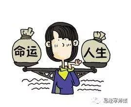当命运被他人掌控,你会选择屈服还是反抗?
