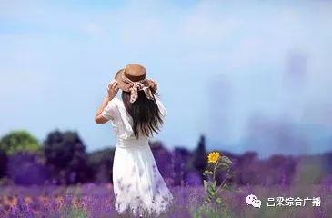 一夜暴富的梦想与现实