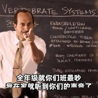 一部让你笑着流泪的职场生存指南