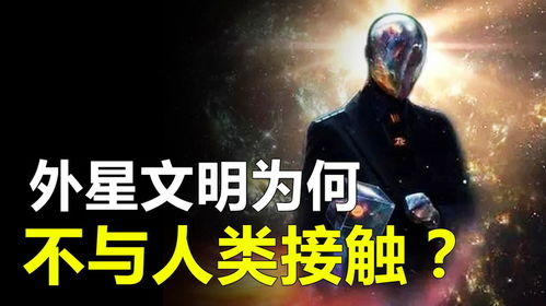 《入侵2024》：科幻巨制还是灾难预言？