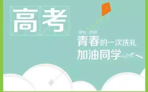 《全城高考》：青春与梦想的终极对决，谁才是