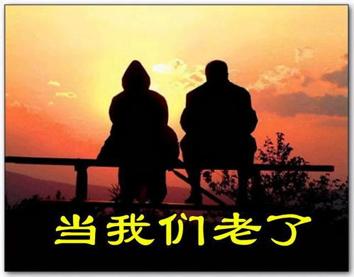 当自责成为枷锁,我们该如何自我救赎?
