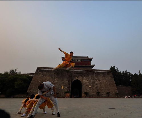 《八卦宗师》：一部关于武术与人生的传奇史诗