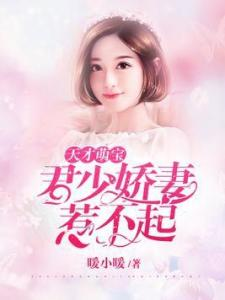 《龙凤双宝，霸总老公宠上天》：甜宠剧的极致