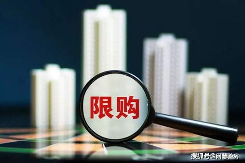 《顶流短剧》：一场关于流量与真实的荒诞狂欢