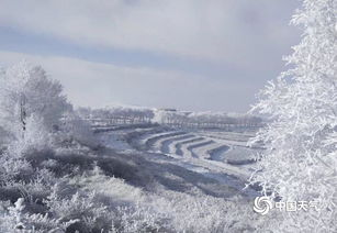 《雪落识潇尘》：一场跨越时空的冰雪奇缘