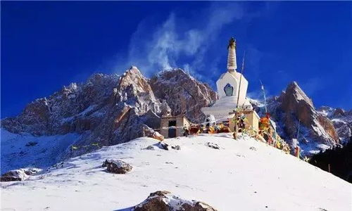 冰雪高原上的神秘精灵