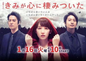一、日剧电影的特点与魅力