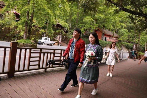 《东北新青年》：这部黑土地上的青春物语，为