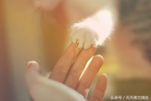 《临终囧事》：一场荒诞又温情的生命告别之旅
