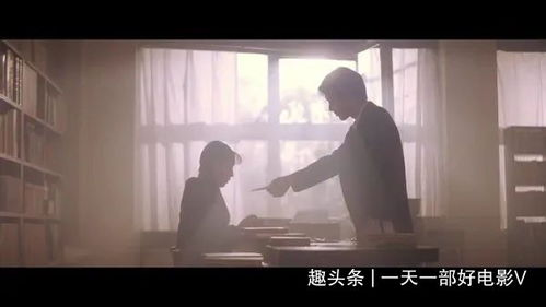 义犬报恩：一只狗如何用忠诚感动千万观众？
