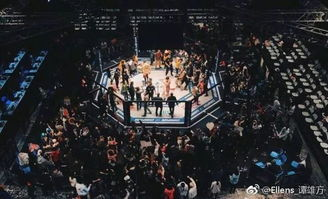 五路追杀令2：刺客舞会：一场致命狂欢还是动作