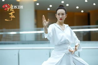 《京武春秋》：一部跨越时代的武侠史诗