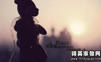 一场关于爱与背叛的情感风暴