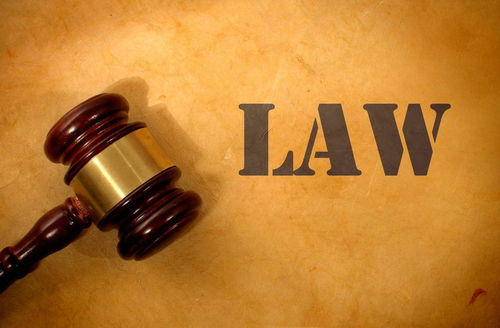 《人造正义》：当AI法官宣判人类命运，我们还能