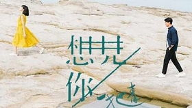 《从今以后2024》：这部科幻爱情片能否成为年度