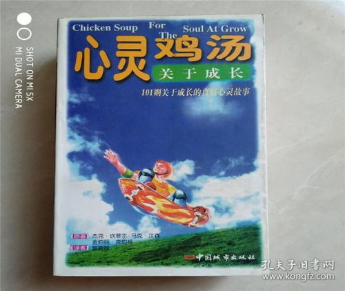 《仙境之桥2007》：童年幻想与残酷现实的碰撞，