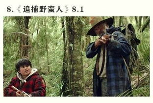冷门佳作的前世今生