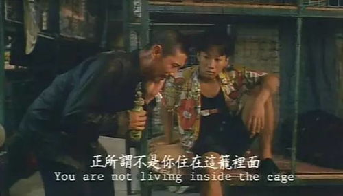 《凶男寡女》：当暴力美学遇上孤独灵魂