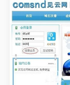 国际化域名注册的基本流程