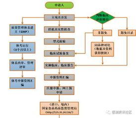 地理域名的注册流程详解