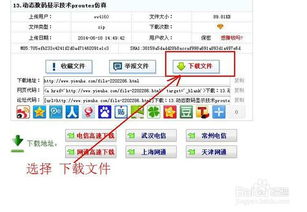 一、网盘教程基础操作