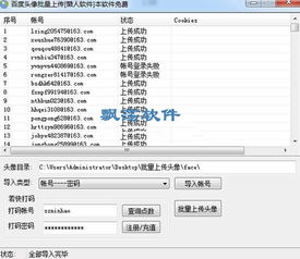 一、批量上传与下载