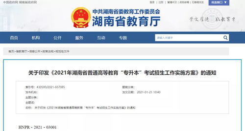 一、网盘教育在专升本备考中的重要性