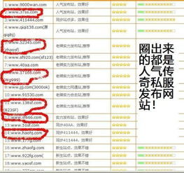 私服传奇发布网,全面解析与选择指南-规避风险，畅享游戏