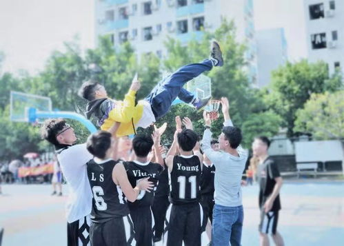 《鸭子的天空》：一部关于梦想与成长的青春篮