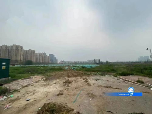 《马达加斯加的企鹅第一季》：这群企鹅凭什么