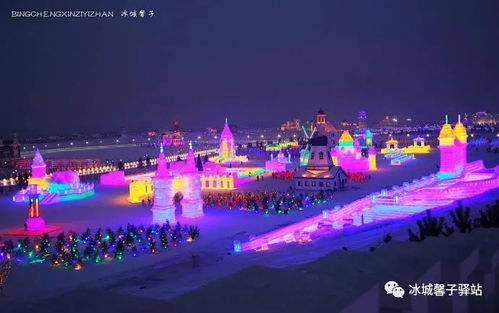 《雪宝的冰雪大冒险》：一场温暖又欢乐的冰雪