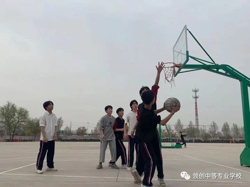 《零秒出手第二季》：热血篮球梦能否再创巅峰
