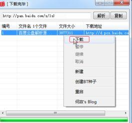 一、了解百度网盘下载工具的种类