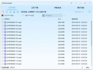 一、pandownload_v2.2.2功能特点解析