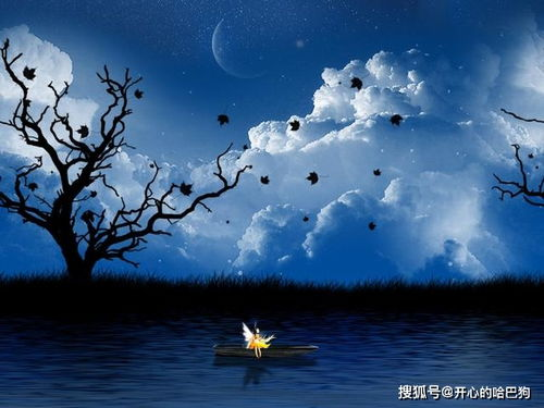 《三万英尺的暗恋》：高空之上的爱情，能否跨