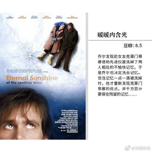 《不属于我的光》：一部关于爱与失去的动人电