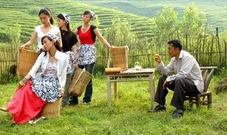 《与茶热恋》：一杯茶里的爱情与人生