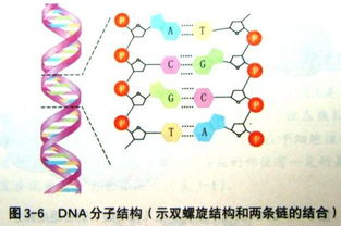《他是我儿子》：一场跨越血缘的亲情救赎，谁