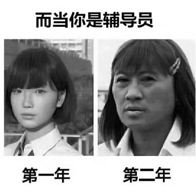 《你养我小我养你老短剧版》：温情短剧如何击