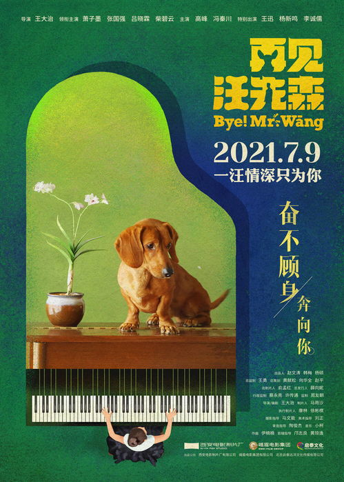 《保安老爸竟是世界首富》：贫穷与富贵的荒诞