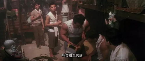 《绝世武魂：陈枫》——废柴逆袭还是命运捉弄